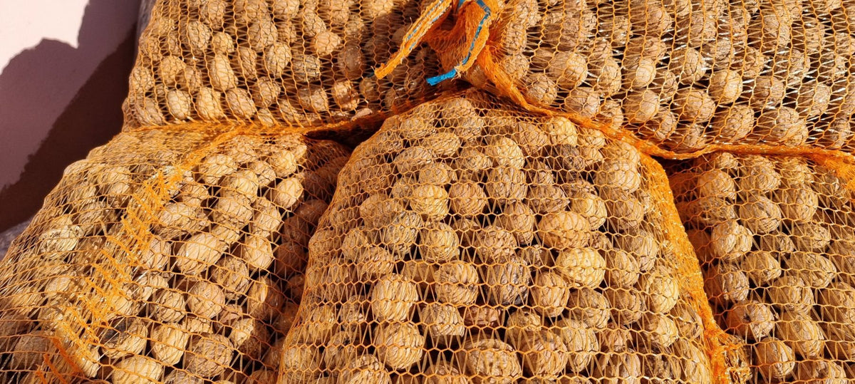 Nueces con cáscara en una malla