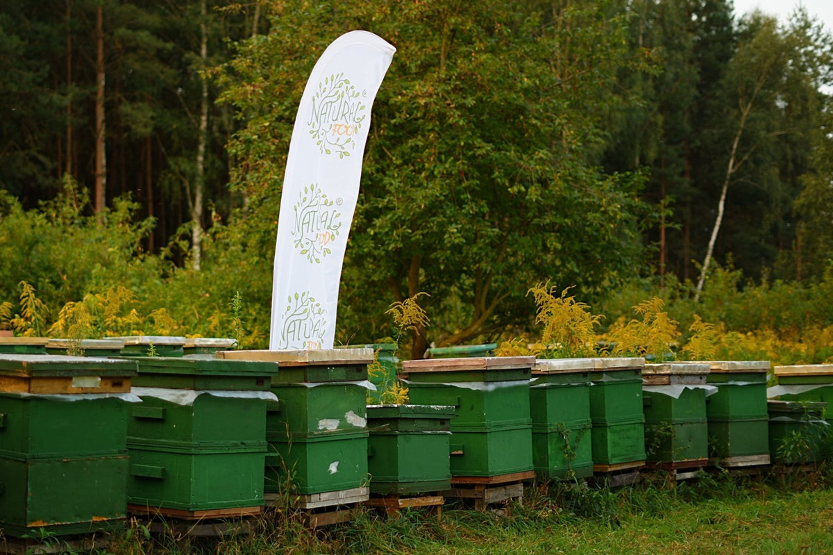 Colmenas con una bandera de Natural-Food junto al bosque